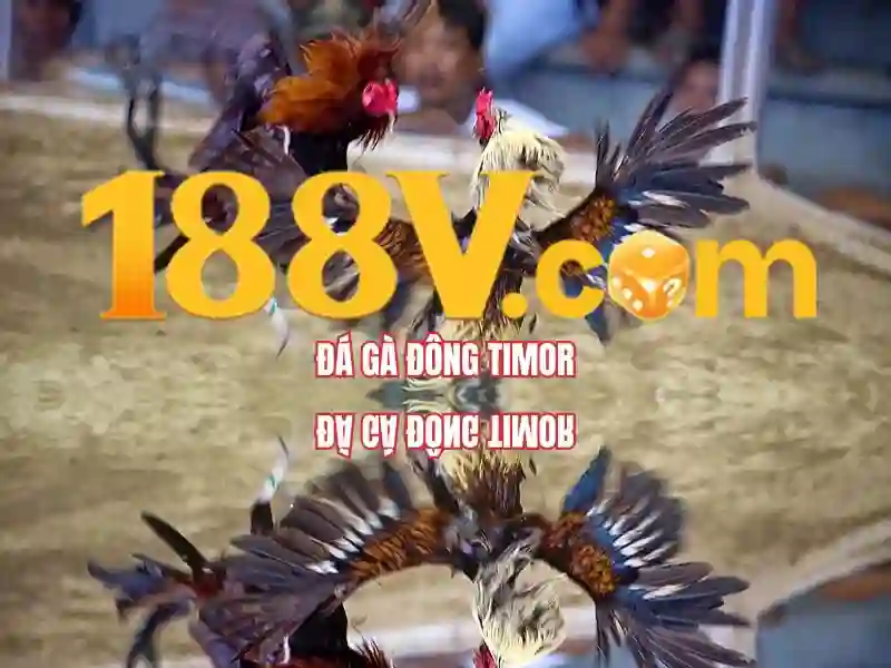 Phiên bản mới 188v: hành trình đổi mới và trải nghiệm tuyệt vời