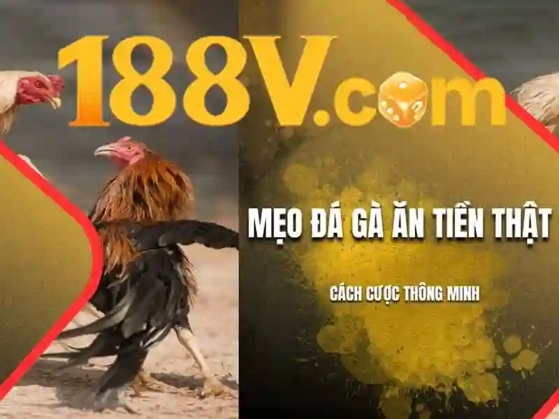 188v vom – Hành trình đổi mới và trải nghiệm đỉnh cao