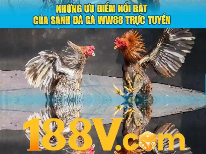 game bài 188v - Trải nghiệm đỉnh cao an toàn và hấp dẫn