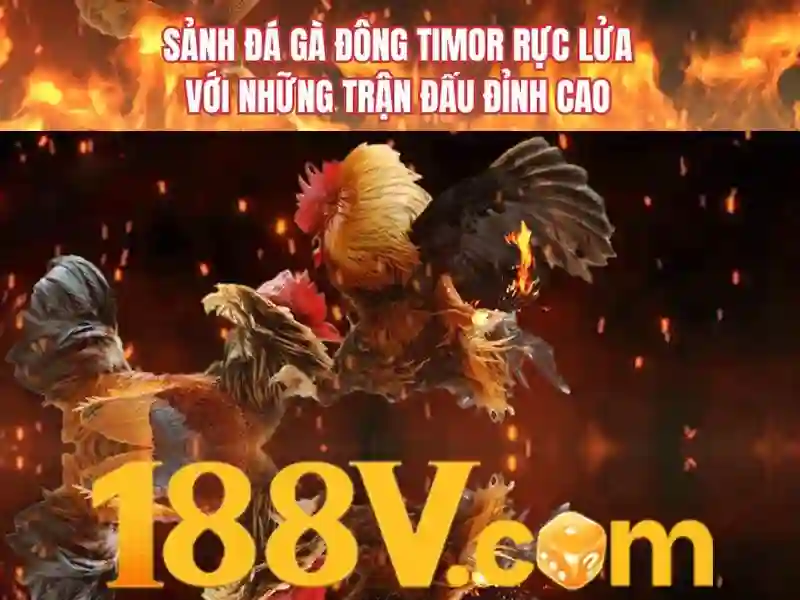 nguoi choi dang thao tac nhan code khuyen mai tai 188v